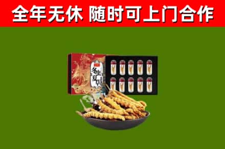 芦淞区回收冬虫夏草价格