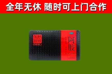 芦淞区回收阿胶